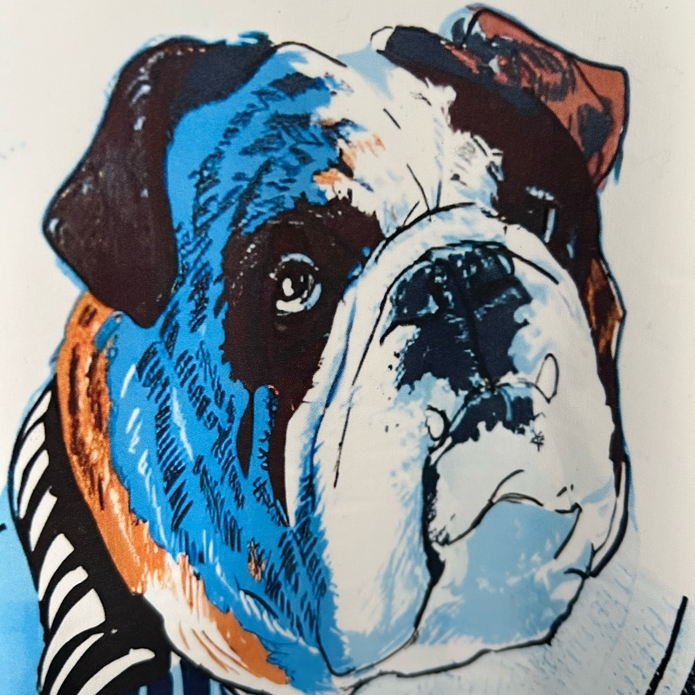 White Bulldog Graphic Sweatshirt - Picture 2 of 7